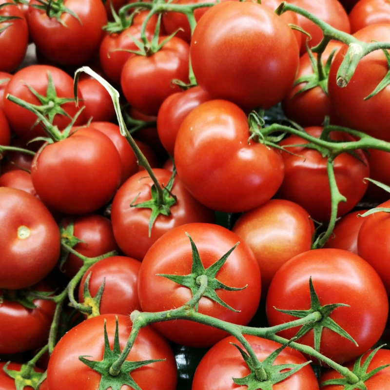 picture of tomatoes stacked in a pile